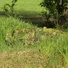 Маскувальний шарф-сітка Camotec SFVS Pencott Green Фото 2
